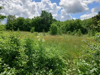 Istra, Krnica, kmetijsko zemljišče