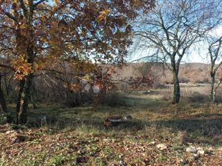 Zemljišče Golaš, Bale, 23.971m2