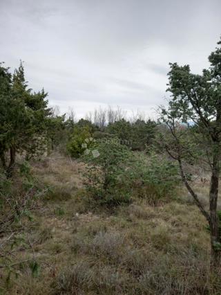 Zazidljivo zemljišče Vrsi, 4.337m2