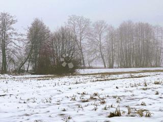 Zazidljivo zemljišče Belica, 1.491m2