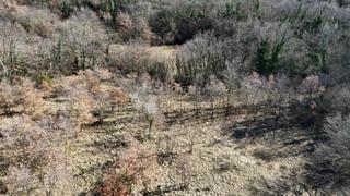 Zazidljivo zemljišče Orbanići, Žminj, 3.000m2