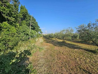 Zemljišče Umag, 5.300m2