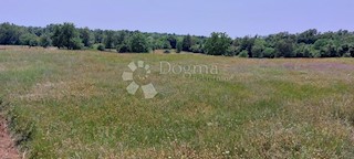 Zemljišče Šušnjići, Poreč, 20.024m2