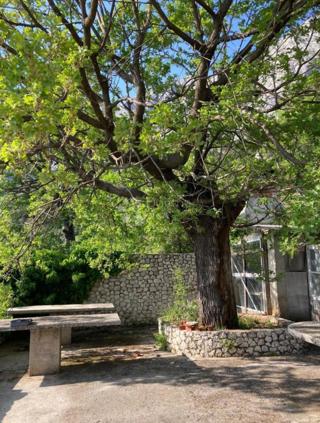 Zazidljivo zemljišče Bast, Baška Voda, 1.463m2
