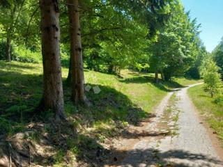 Kmetijsko zemljišče Kamensko, Vrbovsko, 7.176m2