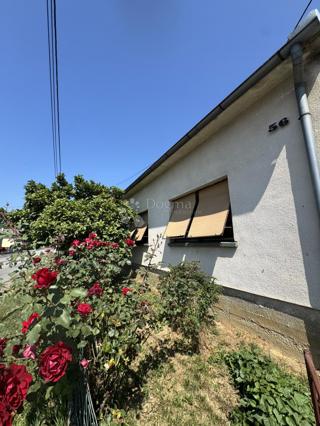 Hiša Zvijerci, Bjelovar, 95m2
