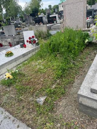 Grobnica Mirogoj, Gornji Grad - Medveščak, 2m2