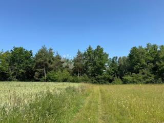 Kmetijsko zemljišče Smiljansko Polje, Gospić - Okolica, 6.000m2