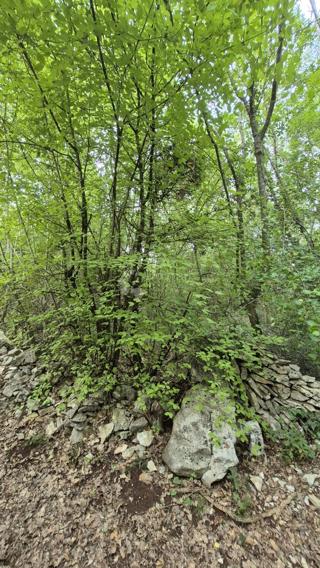Kmetijsko zemljišče 11.980 m2, 600 m od morja