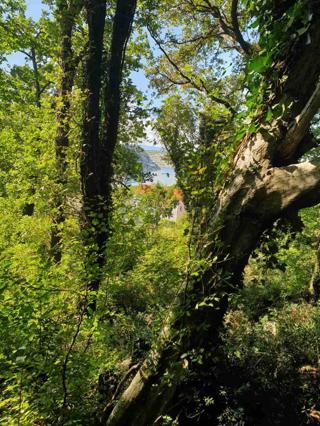 Zazidljivo zemljišče Bakarac, Kraljevica, 2.750m2