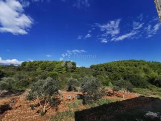 Kmetijsko zemljišče Čara, Korčula, 39.823m2