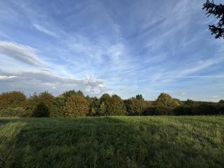 Hiša Hampovica, Virje, 50m2