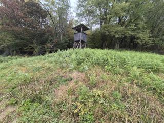 Kmetijsko zemljišče Mala Gora, Pregrada, 1.169m2