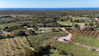 Zazidljivo zemljišče Vodnjan, 900m2