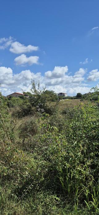 Zazidljivo zemljišče Šikići, Pula, 1.862m2