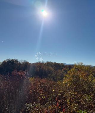 Kmetijsko zemljišče Natkrižovljan, Cestica, 3.074m2