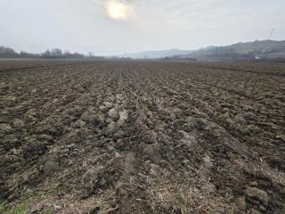 Kmetijsko zemljišče Luka, 3.766m2