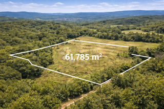 Kmetijsko zemljišče Bazgalji, Gračišće, 61.785m2