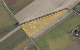 Kmetijsko zemljišče Tenja, Osijek - Okolica, 10.051m2