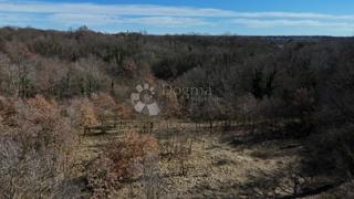 Zazidljivo zemljišče Orbanići, Žminj, 3.000m2