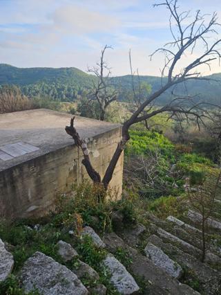 Zazidljivo zemljišče Babino Polje, Mljet, 394m2