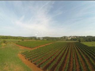 Zazidljivo zemljišče Fuškulin, Poreč, 8.596m2