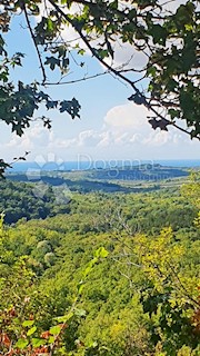 Zemljišče Buje, 18.000m2