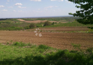 Kmetijsko zemljišče Vrlika, 1.700m2