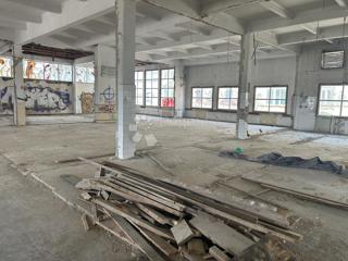 Poslovni prostor Mlaka, Rijeka, 800m2