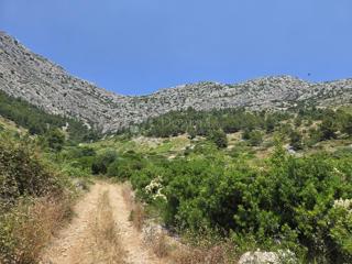 Kmetijsko zemljišče Ivan Dolac, Jelsa, 5.200m2