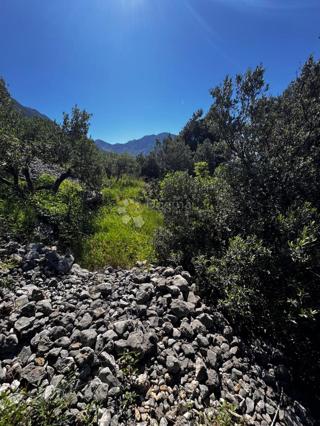 Zazidljivo zemljišče Brist, Gradac, 693m2