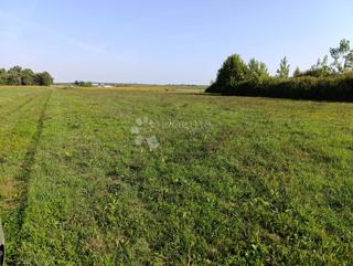 Kmetijsko zemljišče Đakovo, 9.499m2