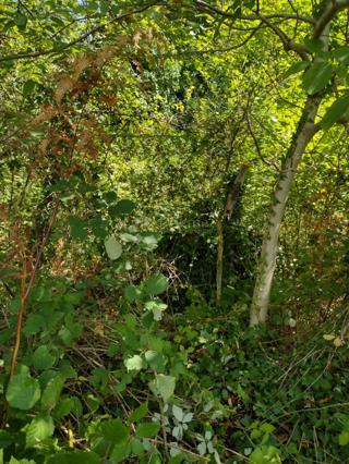 Zazidljivo zemljišče Trepča, Gvozd, 46.129m2