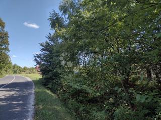 Zazidljivo zemljišče Trepča, Gvozd, 46.129m2