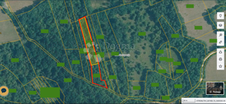 Akacijev gozd v Mrgani