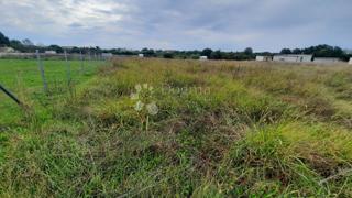 Kmetijsko zemljišče Jadreški, Ližnjan, 500m2