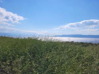 Kmetijsko zemljišče Novi Vinodolski, 19.551m2