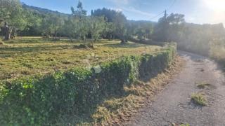 Gradbeno zemljišče Pašman