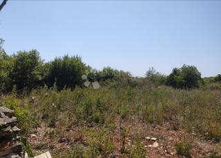 Kmetijsko zemljišče Galižana, Vodnjan, 50.000m2