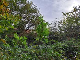 Hiša Pješčanica, Gvozd, 40m2