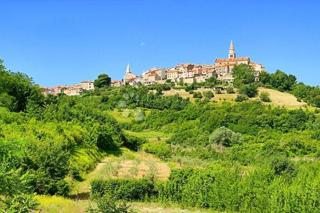 Kmetijsko zemljišče Krasica, Buje, 10.489m2