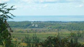 Zazidljivo zemljišče Buje, 1.473m2