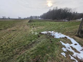 Kmetijsko zemljišče Luka, 3.766m2