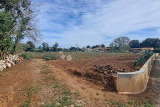 Kmetijsko zemljišče Šišan, Ližnjan, 2.972m2