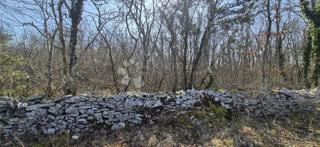 Kmetijsko zemljišče Glavani, Barban, 23.953m2