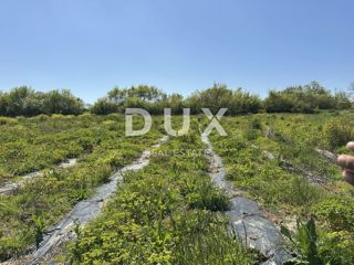 ZADAR, MURVICA - Kmetijsko zemljišče s potencialom - 3000m²
