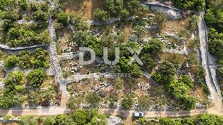 OTOK KRK, PUNAT - Kaskadni oljčni nasad z dostopno cesto