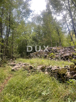 Zemljišče Marčelji, Viškovo, 10.317m2