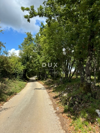 ISTRA, Gračišće (okolica) - Gradbeno zemljišče z zasebnostjo in veliko zelenja!