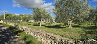 ISTRA, POREČ - Zemljišče za gradnjo dveh hiš v bližini Svetega Lovreča - mir in pristnost Istre